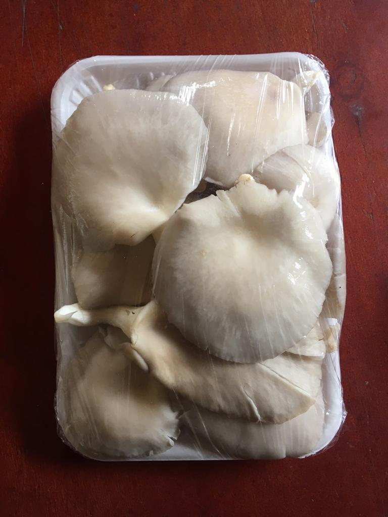 Oyster Mushrooms 250g - K2000. Readily available in blantyre. Text this number 0882867970. Help spread the news!