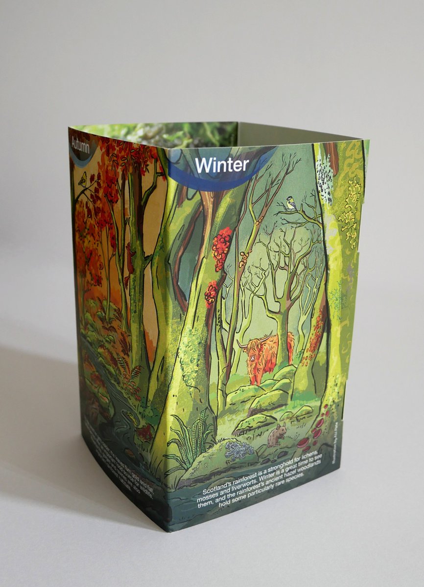 abipate_illo's tweet photo. Some photos of the @ASRainforest leaflet I illustrated recently- so impressed with the print job! (photography skills lacking - but isn't it nice to see things from very slightly different angles for no reason) #LostRainforestsofBritain https://t.co/MFYQfxIOAs
