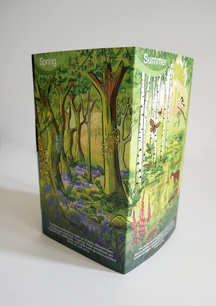 abipate_illo's tweet photo. Some photos of the @ASRainforest leaflet I illustrated recently- so impressed with the print job! (photography skills lacking - but isn't it nice to see things from very slightly different angles for no reason) #LostRainforestsofBritain https://t.co/MFYQfxIOAs