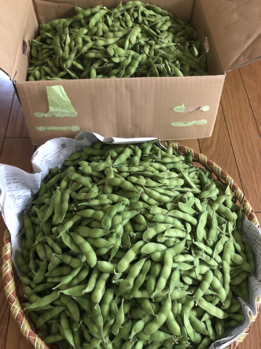 お疲れ様でしたー！
明日枝豆販売会予定です！
15キロほど収穫しましたが、1つ実や実の大きくない物は除外した為10キロ程に。
明日の晩酌に今年の枝豆を楽しんでみては？🍺
#企業公式夏のフォロー祭り
#企業公式相互フォロー
#企業公式がお疲れ様を言い合う