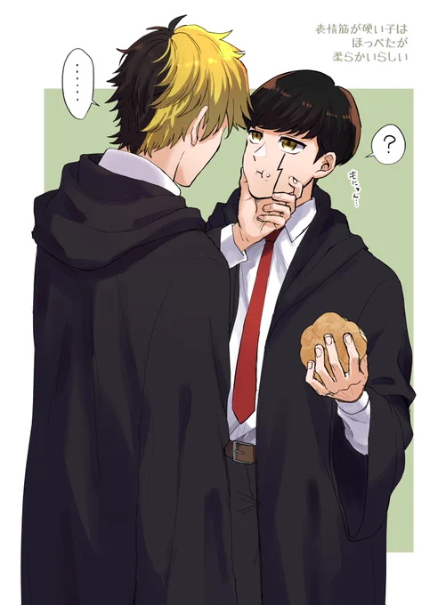 レイマシュと苦労人フィくん 