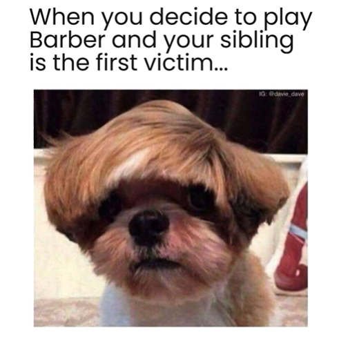WalkiesGame's tweet photo. It's #MemeMonday!! Why is this truee🤣🤣
Comment your #indiegame ⬇️🎮

Like ❤️
Retweet 🔁
Follow ✅
Wishlist - https://t.co/dYVKvSiBYl

#OGHaircut #FirstHaircut #meme #indiegame #gamedev #gaming https://t.co/qtiMpqpICq