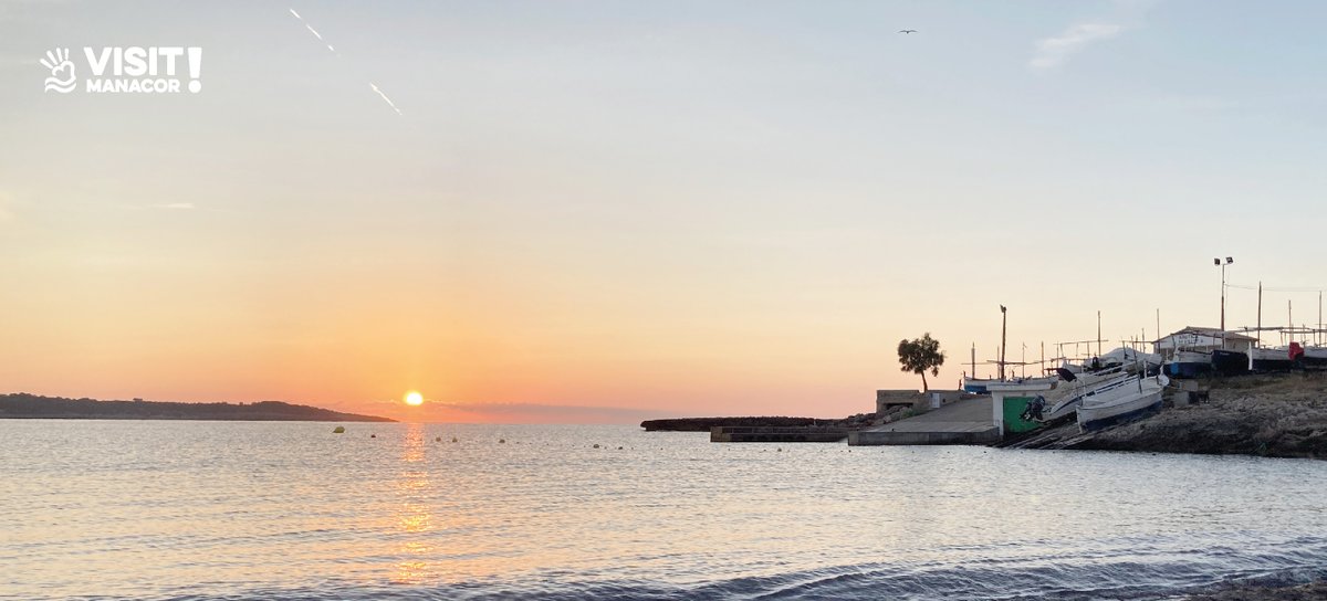 Visit Manacor tweet media