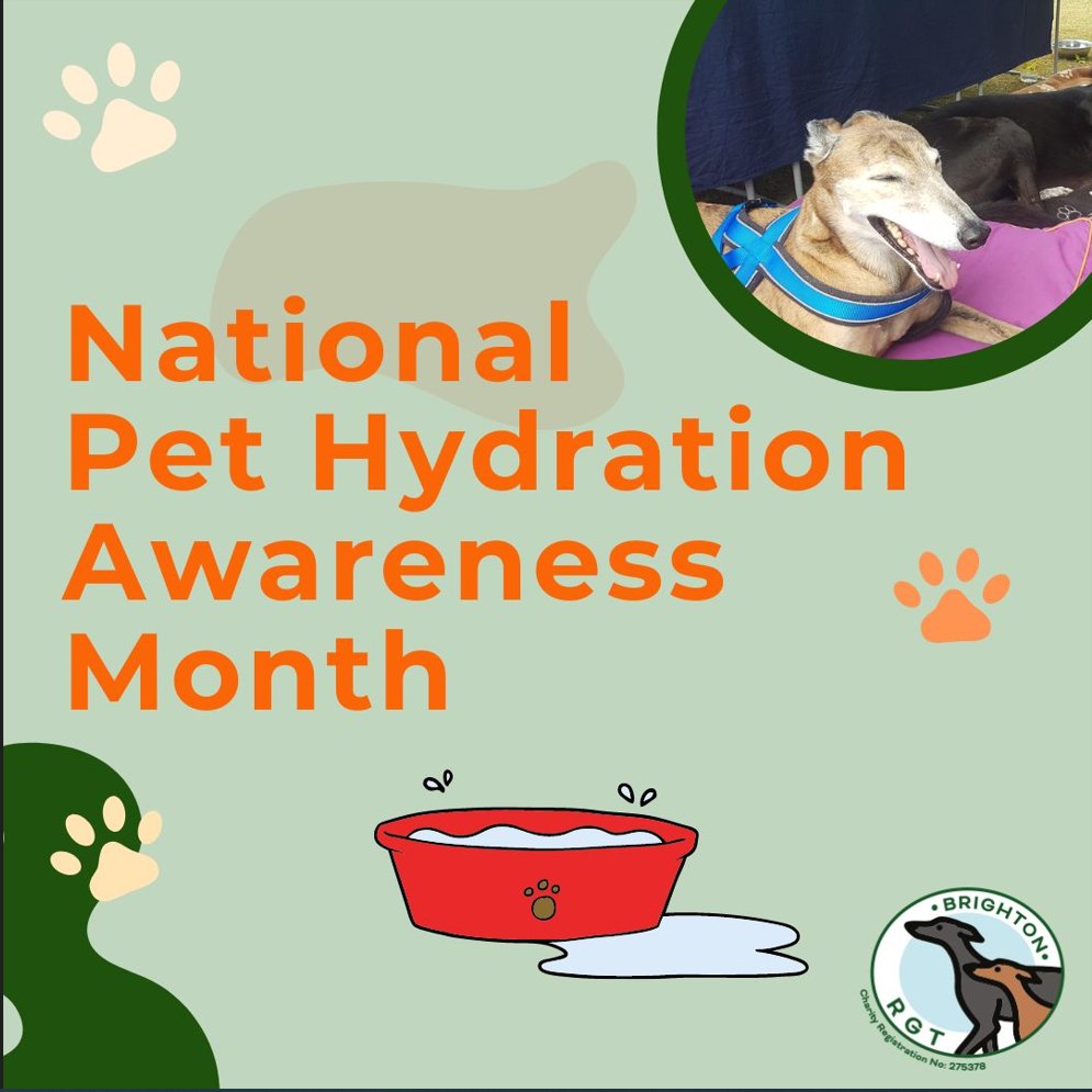 National Pet Hydration Awareness Month is observed to help raise awareness about the importance of pet hydration. 🐾

#PetHydrationAwareness #HydrateYourPets #KeepPetsHydrated #HydrationMatters #WaterForPets #HealthyPets #SummerPetCare #PetWellness #StayHydratedPets