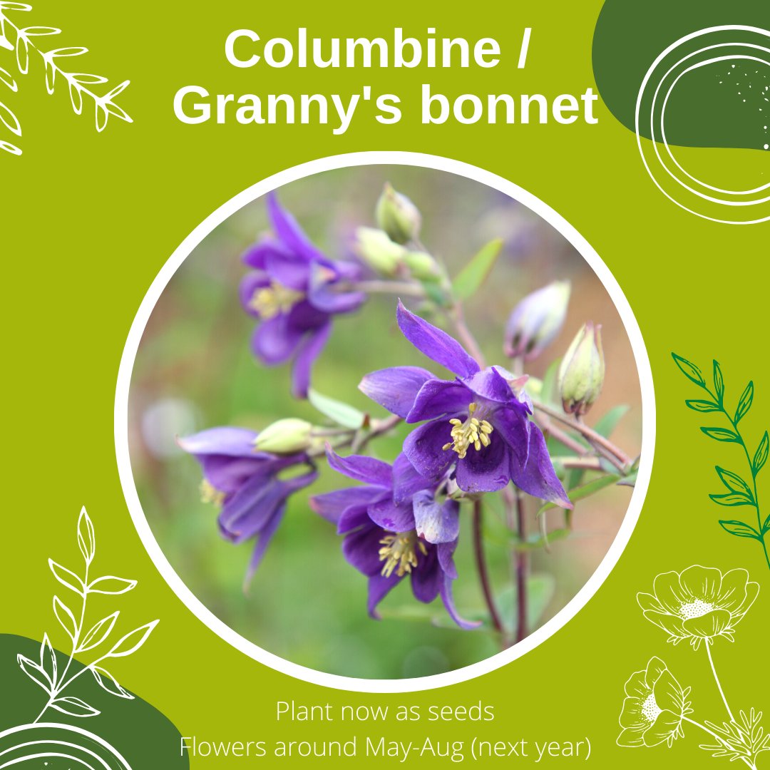 Bumblebee Conservation Trust tweet media