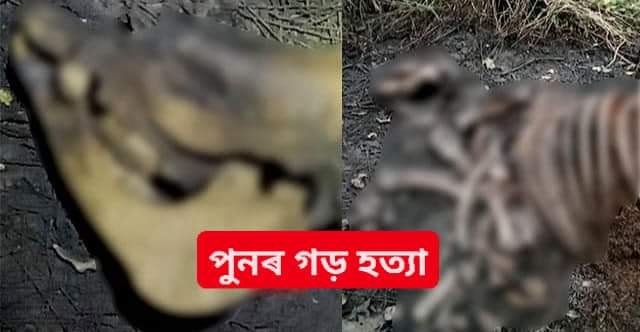 DEVAJIT MORAN #IAmDehingPatkai #Protectmetoo tweet media