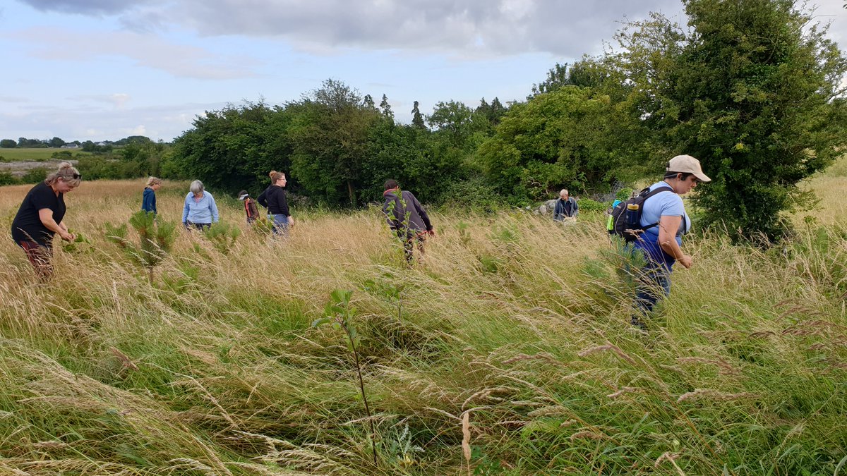 Burrenbeo Trust tweet media