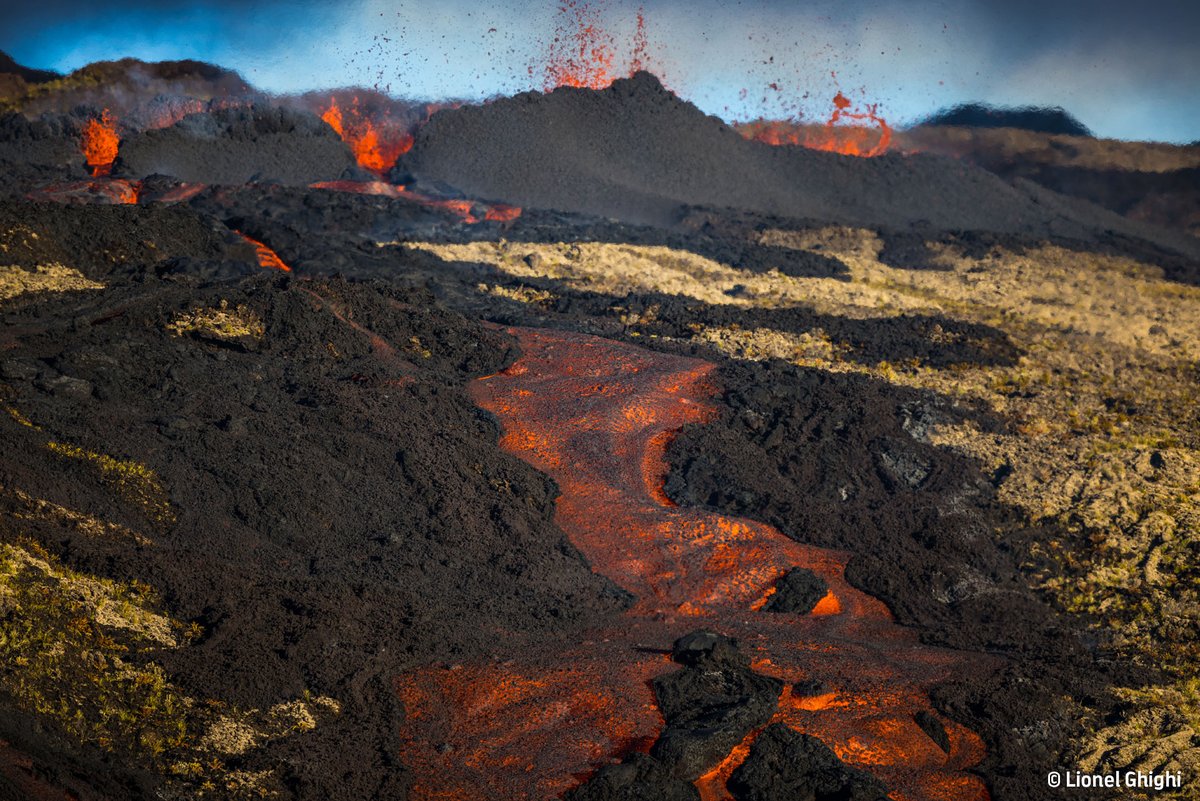 Réunion Tourisme tweet media