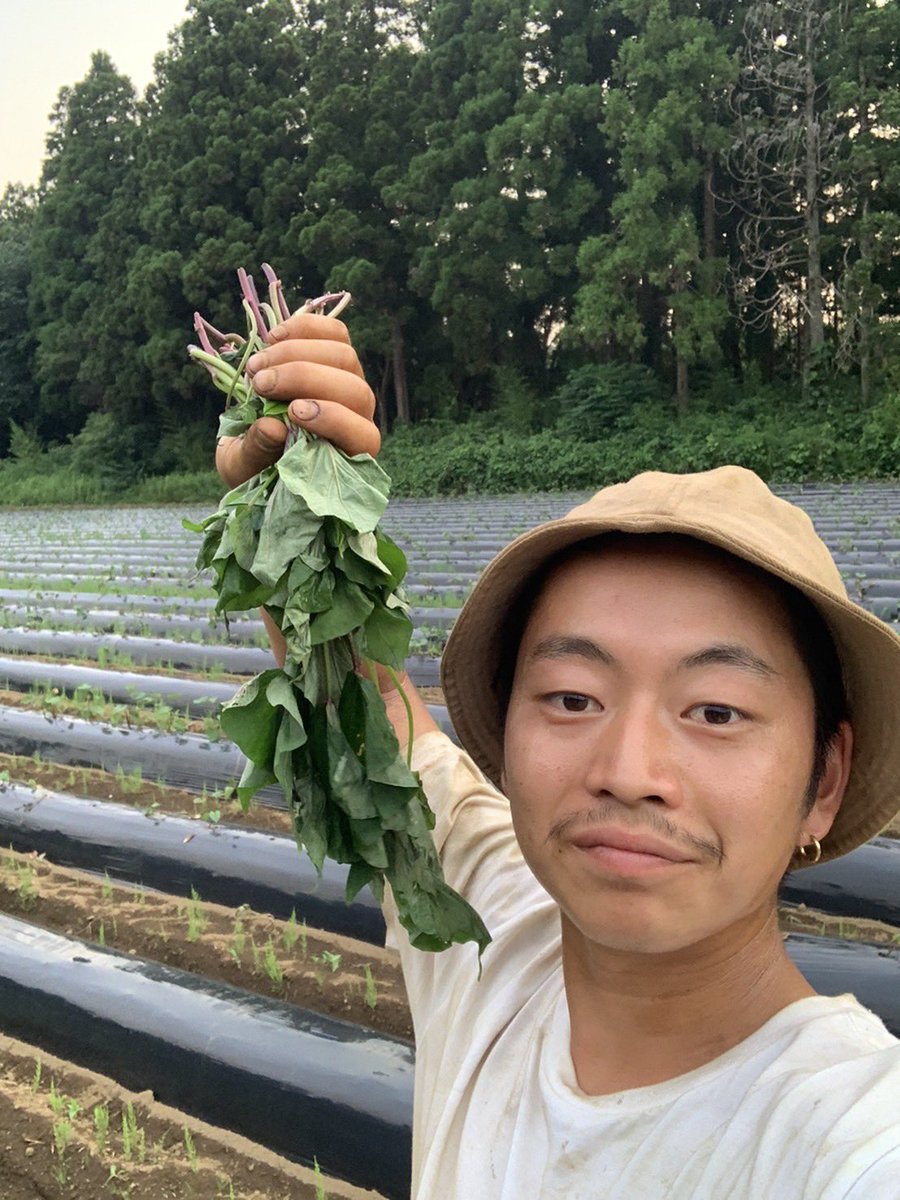 さつまいもまだまだ植えていきます🍠