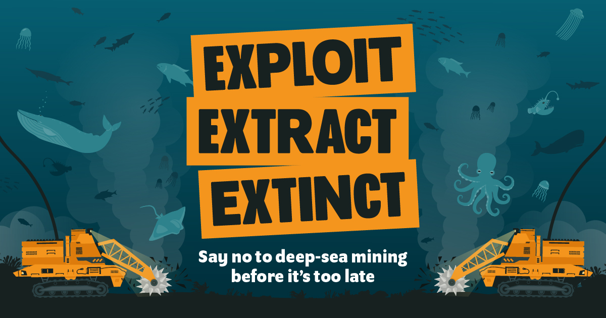 DeepSeaConserve's tweet image. 👇 We need you! Call on your government to make their voice heard at this July @ISBAHQ Council &amp;amp; Assembly meetings and stand against #DeepSeaMining.

We must draw a line in the sand &amp;amp; protect the health of our ocean for future generations defendthedeep.org #DefendTheDeep