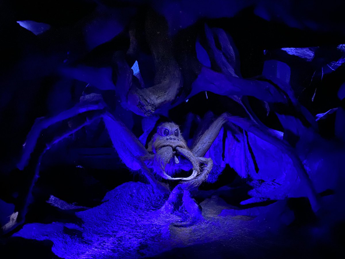 時間満杯まで遊んだきっかり４時間だったわあ最早無いセット銀行以外なくない？てくらい全部詰め詰めだったほぼ網羅で再建してるの凄いよお特に禁じられた森セットがジュラワすぎて真っ暗すぎて雰囲気ばちばちやばかった https://t.co/6v1jwUNoBx