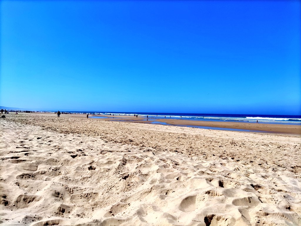 Good morning from the beach 🏖️