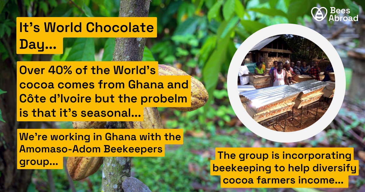 It's #WorldChocolateDay. Ghana and Cote d'Ivoire produce 40% . In Ghana Bees Abroad have been working with the Amomaso-Adom group to incorporate beekeeping to overcome the problem of seasonal income from cocoa. Learn more about our work in Ghana here: beesabroad.org.uk/home/bees-abro…