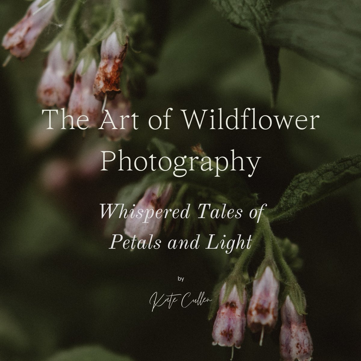 Kate Cullen Coaching & Photography tweet media