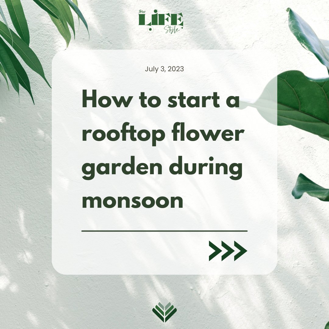 dailystarnews's tweet photo. How to start a rooftop flower garden during monsoon
Read more: https://t.co/jUZvN4GMJs
From Star Lifestyle
#Tips #WayToStart #RooftopGarden https://t.co/QG1LgNEzmq
