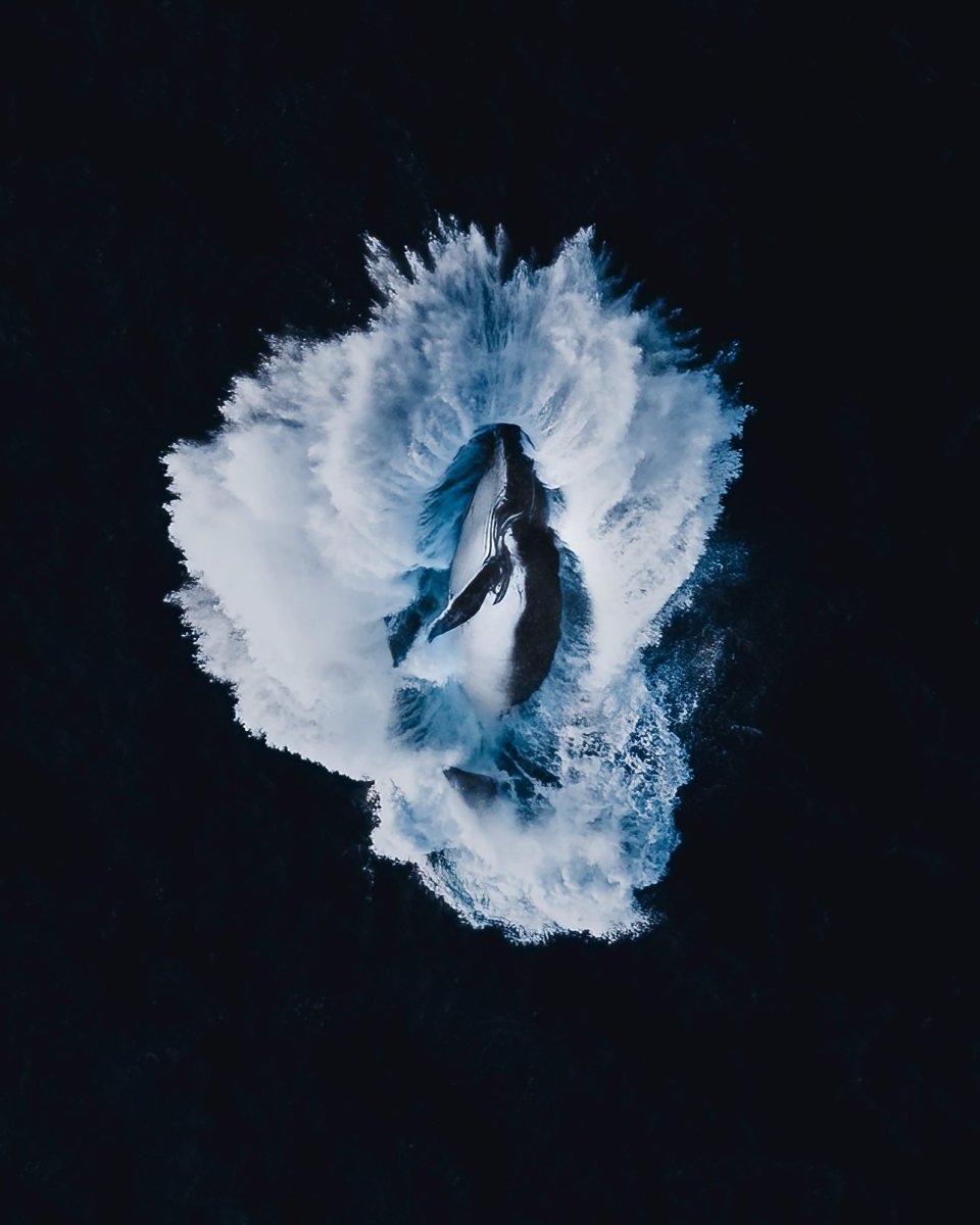 Have you seen the Skypixel June top 10? 👇

Check out the full list: bit.ly/46BrOBd

📸: <a href="/Timmboslice_/">Timmboslice.eth 🇦🇺🌊💎</a> , #Mavic3Pro