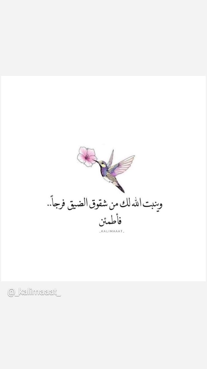 مساءكم سعاده💕