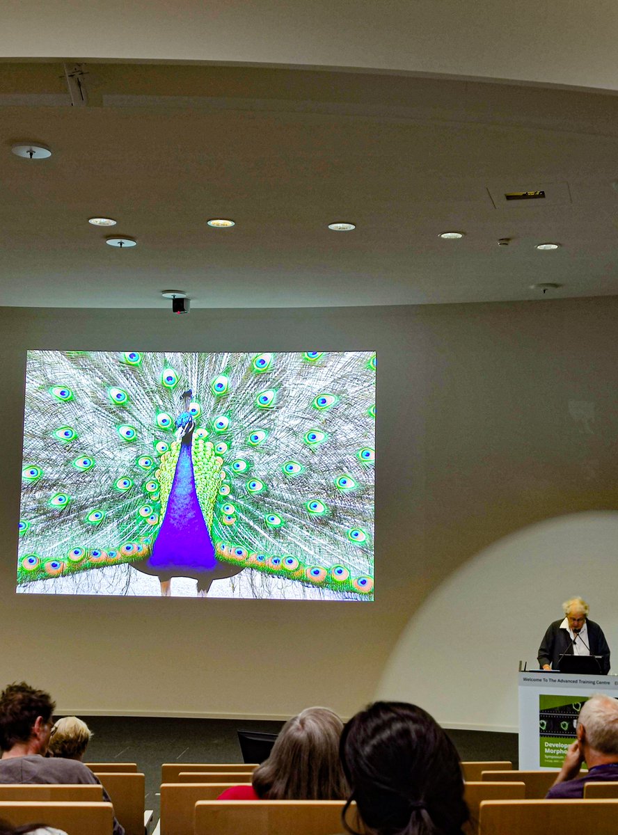 MartynaLukoseviciute (@lukmartyna) on Twitter photo EMBO fellows meeting followed by start of Development and Morphogenesis symposium in honour of <a href="/mleptin/">Maria Leptin</a> ! Science starts with Christiane Nüsslein-Volhard giving a thoughtful talk on Animal Beauty: function and evolution of biological aesthetics.
<a href="/EMBO/">EMBO</a> <a href="/EMBLEvents/">EMBL Events</a> EMBO fellows meeting followed by start of Development and Morphogenesis symposium in honour of <a href="/mleptin/">Maria Leptin</a> ! Science starts with Christiane Nüsslein-Volhard giving a thoughtful talk on Animal Beauty: function and evolution of biological aesthetics.
<a href="/EMBO/">EMBO</a> <a href="/EMBLEvents/">EMBL Events</a>