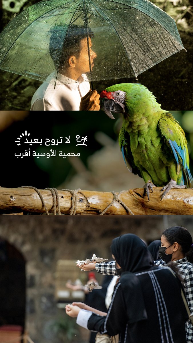 #لاتروح_بعيد 
#محمية_الأوسية أقرب
☀️🧃