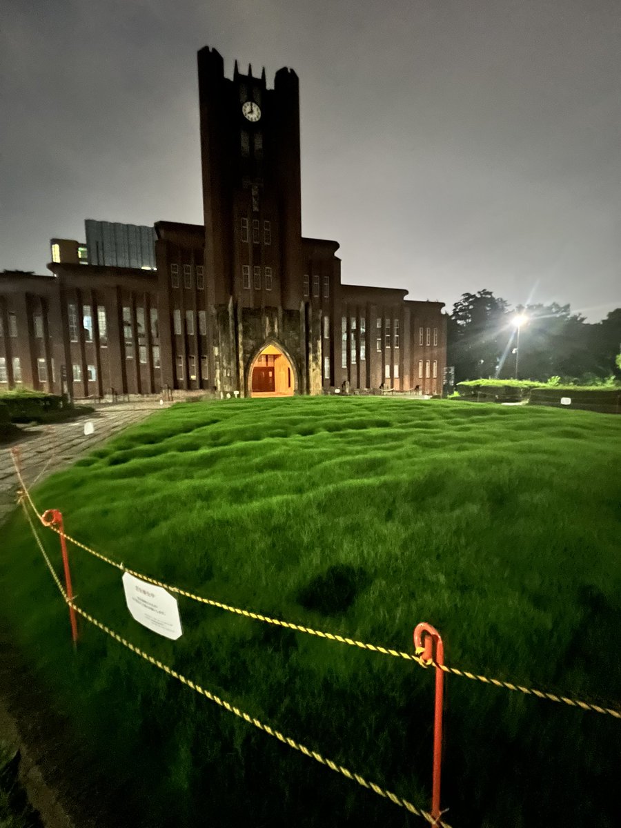 少し前から、安田講堂前の芝生を植え替えてたんすよ。当分元気ないかなー、と思ってたら今日これです。なんかヤバい薬使ってるのかってくらいの伸び方。モリゾーみたいになってる。