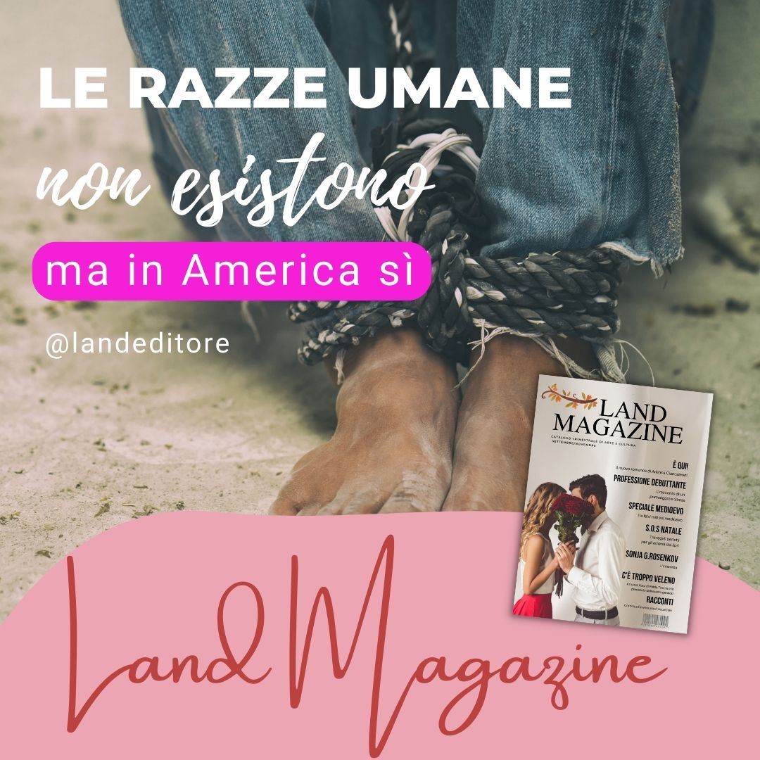 land editore tweet media