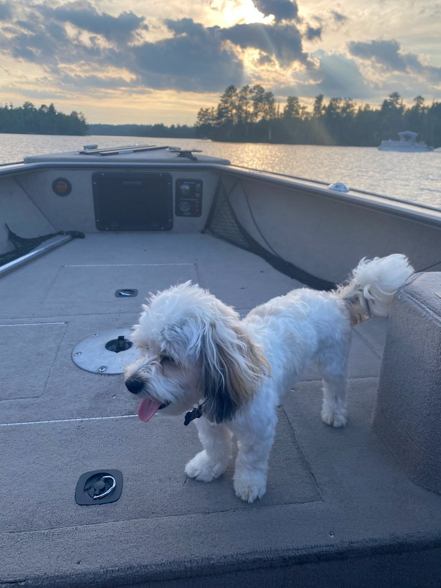 From the lakes of Minnesota…….my first boat ride.   🚤 🐶