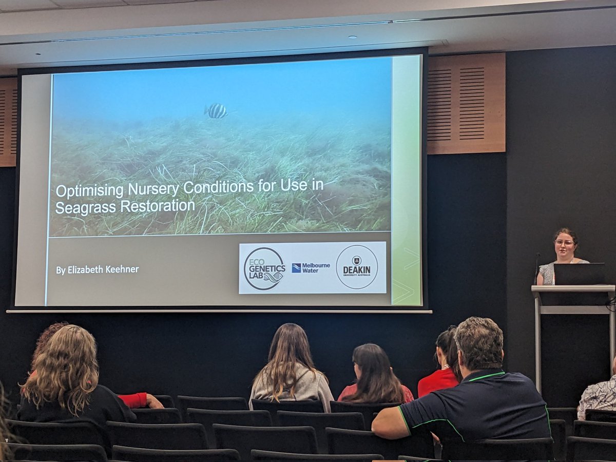 AmsaVictoria's tweet photo. It's been a great day for Victorian marine botany nerds at #AMSA2023 with some fantastic talks on #seagrass #restoration by @lucy_coals, @abbiewookey, Laney Callahan and Elizabeth Keener from @EcoGeneticsLab  at @Deakin https://t.co/ZEg8VQJ8Tf
