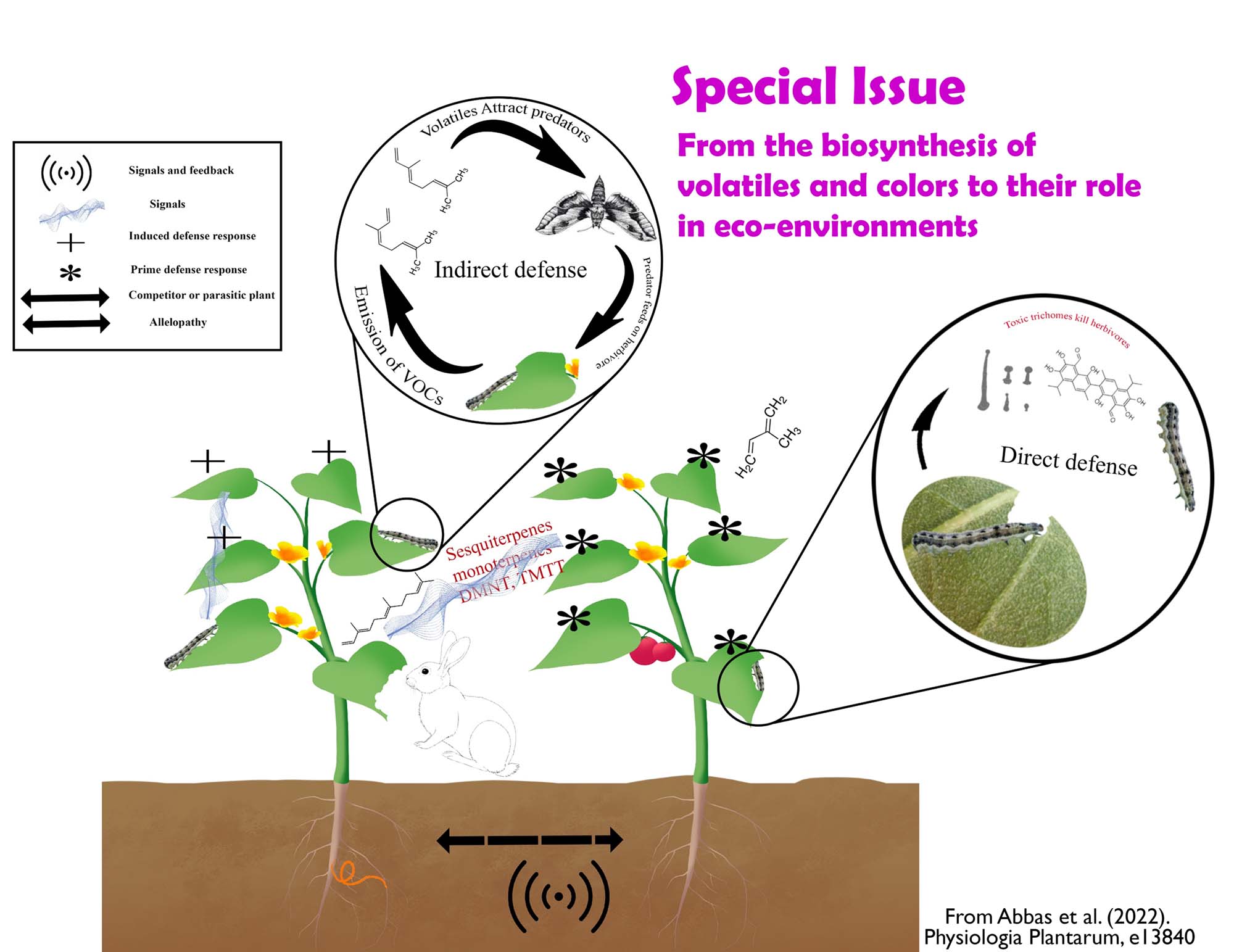 Physiologia Plantarum on Twitter "More than the scent of flowers