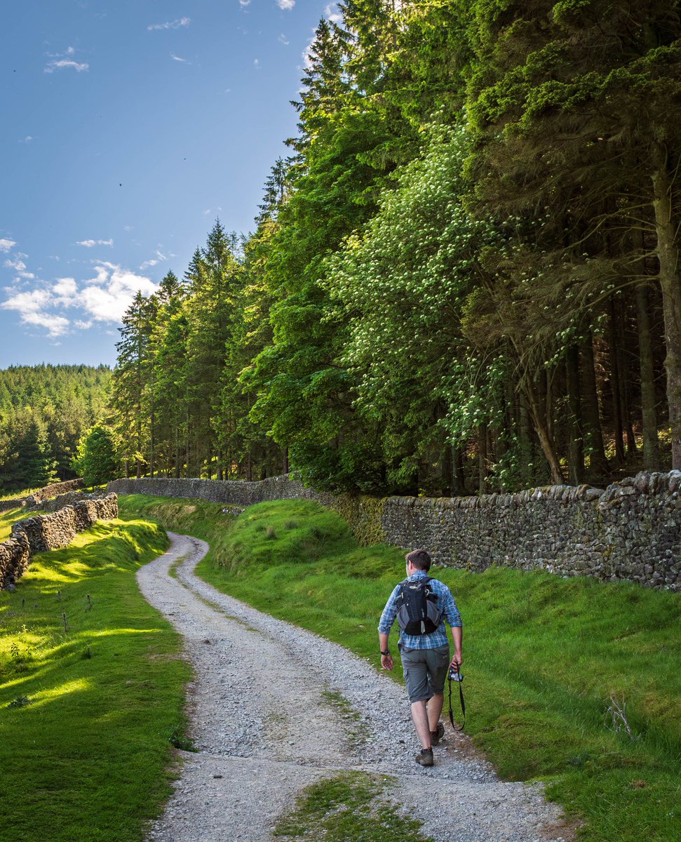 ChevinPhotos's tweet photo. Another in my series of photographing the photographer.  A great shot of me (off camera) and my walking mate making our way up to Simon's seat via Burnsall.

#YorkshireDales #Wharfedale #SimonsSeat

[A108] https://t.co/P8BnDkWIZA