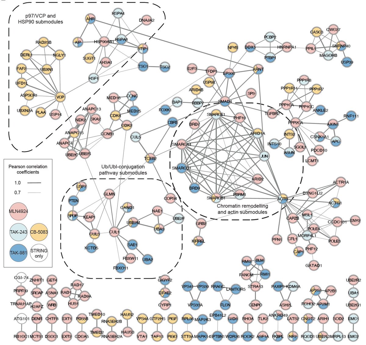 durocherlab (@durocherlab) on Twitter photo New preprint from the lab! Led by <a href="/TiffCho/">Tiffany Cho</a> we employed CRISPR-based fitness screens to chart the response to ubiquitin E1, SUMO E1, NEDD8 E1 and p97/VCP inhibitors. 🧵1/5
biorxiv.org/cgi/content/sh… New preprint from the lab! Led by <a href="/TiffCho/">Tiffany Cho</a> we employed CRISPR-based fitness screens to chart the response to ubiquitin E1, SUMO E1, NEDD8 E1 and p97/VCP inhibitors. 🧵1/5
biorxiv.org/cgi/content/sh…