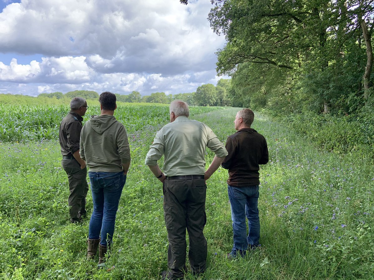 Dit weekend kregen jagers uitleg hoe zij #bloemenrijke #akkerranden aan kunnen leggen. 
Hoe reageren verschillende zaadmengsels op de grondsoorten? Welke mengels gebruik je? Subsidies? Hoe overtuigen we grondeigenaren &amp; -gebruikers mee te doen? #utrecht #biodiversiteit #insecten