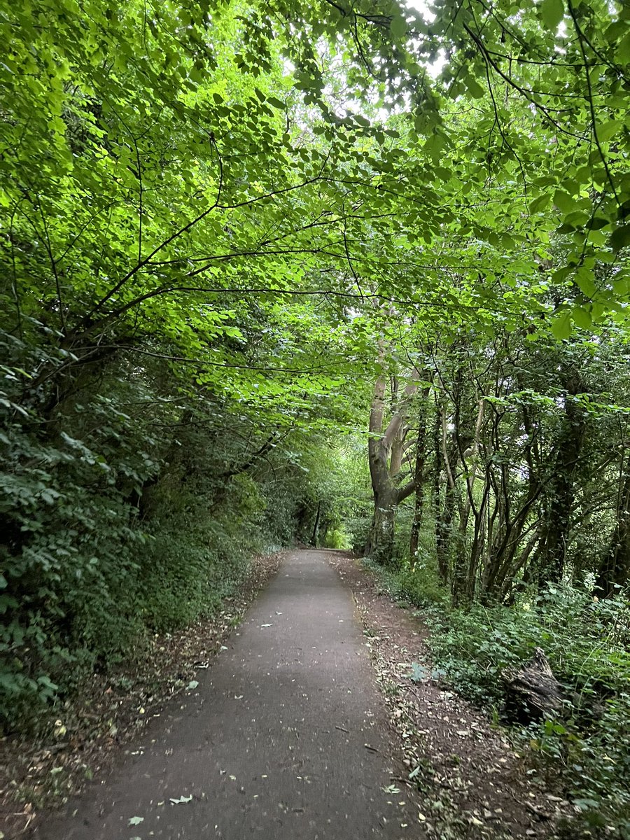 AngelaMSims1's tweet image. First of my “counting steps” walks for the #diabetesuk #millionstepschallenge 

step.diabetes.org.uk/fundraising/an…