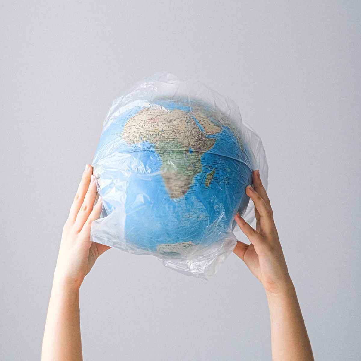 For Earth's Sake tweet media