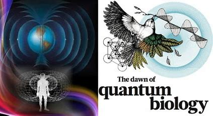 QB_DTC's tweet image. Fully-funded (UK fees) studentship Oct 2023 on quantum biology available at Quantum Biology Doctoral Training Centre surrey.ac.uk/leverhulme-qua… dir by @johnjoemcfadden + @jimalkhalili at the @UniOfSurrey.  Find a potential supervisor here surrey.ac.uk/leverhulme-qua… + get in touch now!