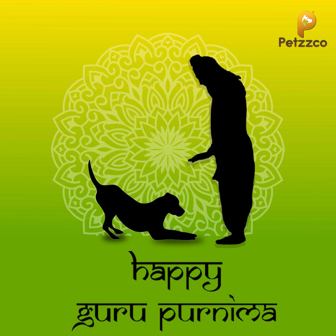 Petzzco's tweet photo. Petzzco Team is wishing you all Happy Guru Purnima!😇 May the teachings of your guru serve as a source of inspiration, guiding you towards a life characterized by kindness, compassion, and selflessness. ✨
#petzzco #guruPoornima #GuruPurnimaMahotsav2023 https://t.co/Wt0Bjqekk8