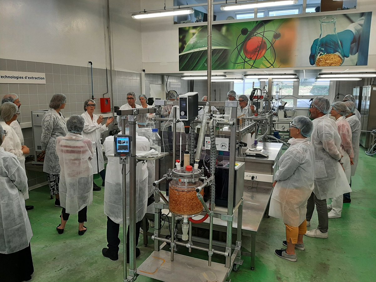 EXTRACTIS tweet media