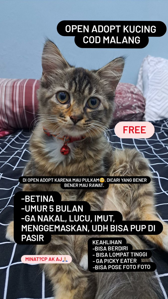 <a href="/infomalang/">Info Malang</a> help rt min