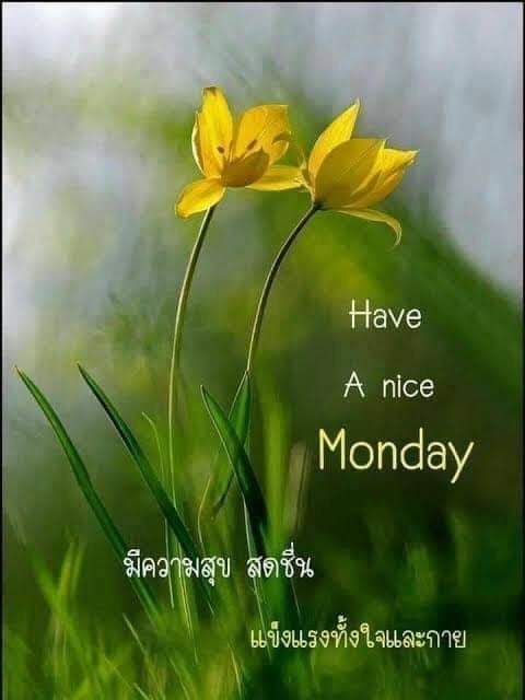 TharwonO's tweet photo. @surapa39865357 @nenanee https://t.co/FRtNpGLuy5