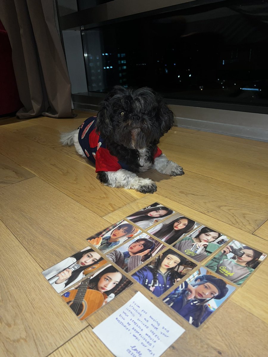 chichi_koyy's tweet photo. 💌 𝓱𝓪𝓹𝓹𝔂 𝓶𝓪𝓲𝓵  from: @0522haul 

Thank you so muchh po! Ang bilis dumating ng pcs and super secured din ng packaging. 🫶 Sama daw doggy ko sa picture hehe💗

#0522ceipt https://t.co/zzll8ieJNv