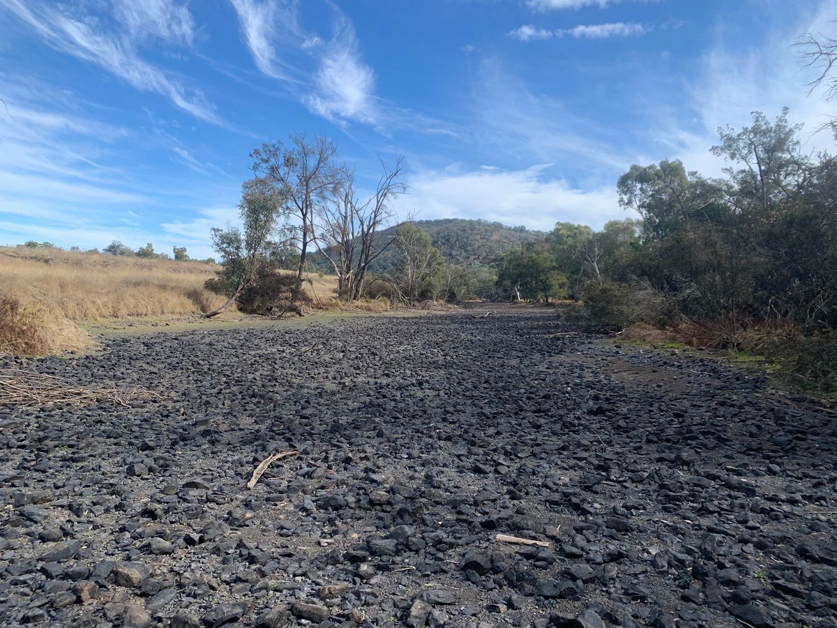 River regulation in Australia... Downstream of a large dam at 98% capacity but no water being released to support freshwater species. Guess no platypuses here anymore...