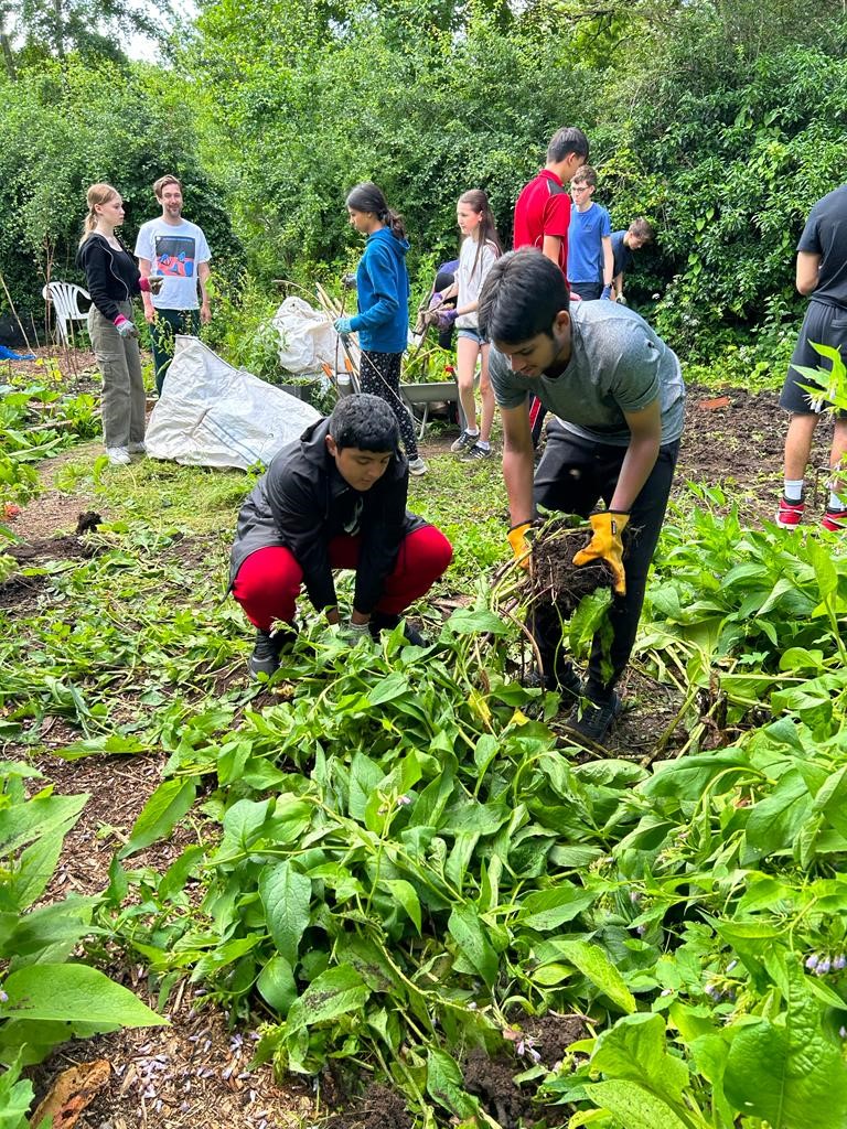 Community Action at Nottingham High School tweet media