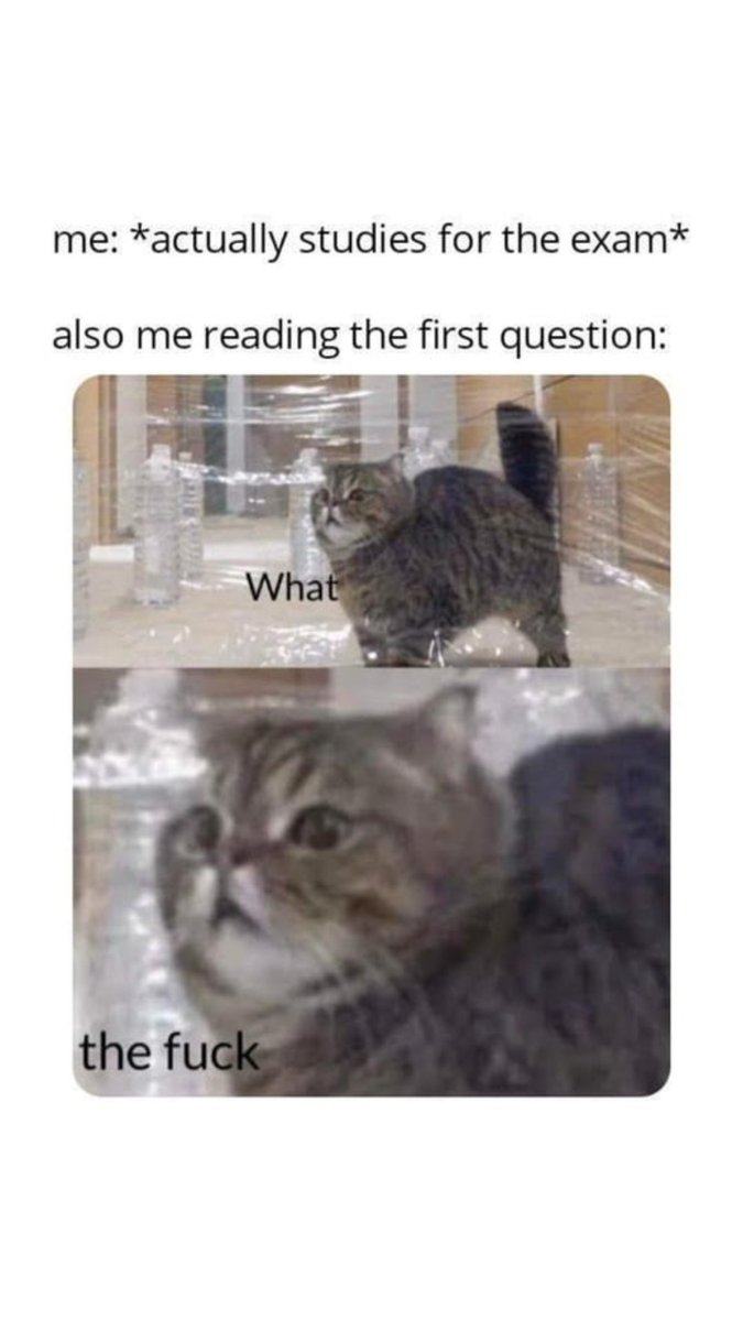 SocraticAI_App's tweet photo. me: *actually studies for the math*
...
#wtftwitter https://t.co/7p2wC71tVQ
