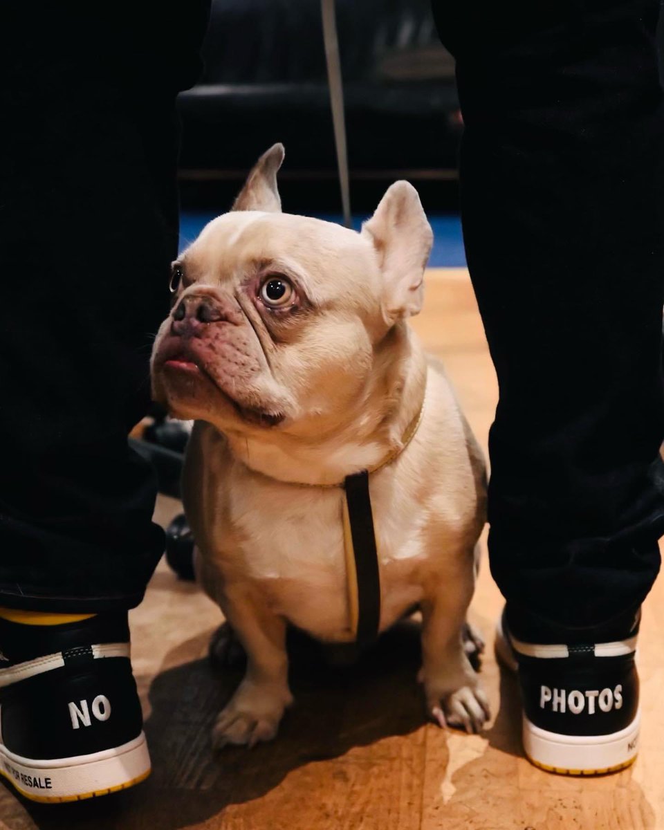 Matt Goss tweet media