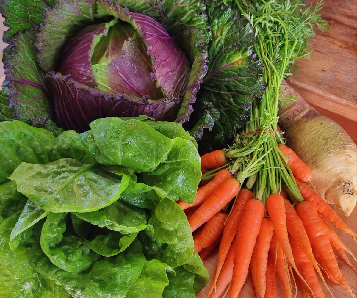 QualityMade_eu's tweet photo. 🇮🇹 Chi non ha mai sognato una vita più significativa, a contatto con la natura?
Vivi l’esperienza “Negli stivali del giardiniere” di Domaine Agricole de Valle in Corsica per Quality Made.

🔗 https://t.co/vzMskWToDK

#traveldifferent #qualitymade https://t.co/6SHexWEKl2