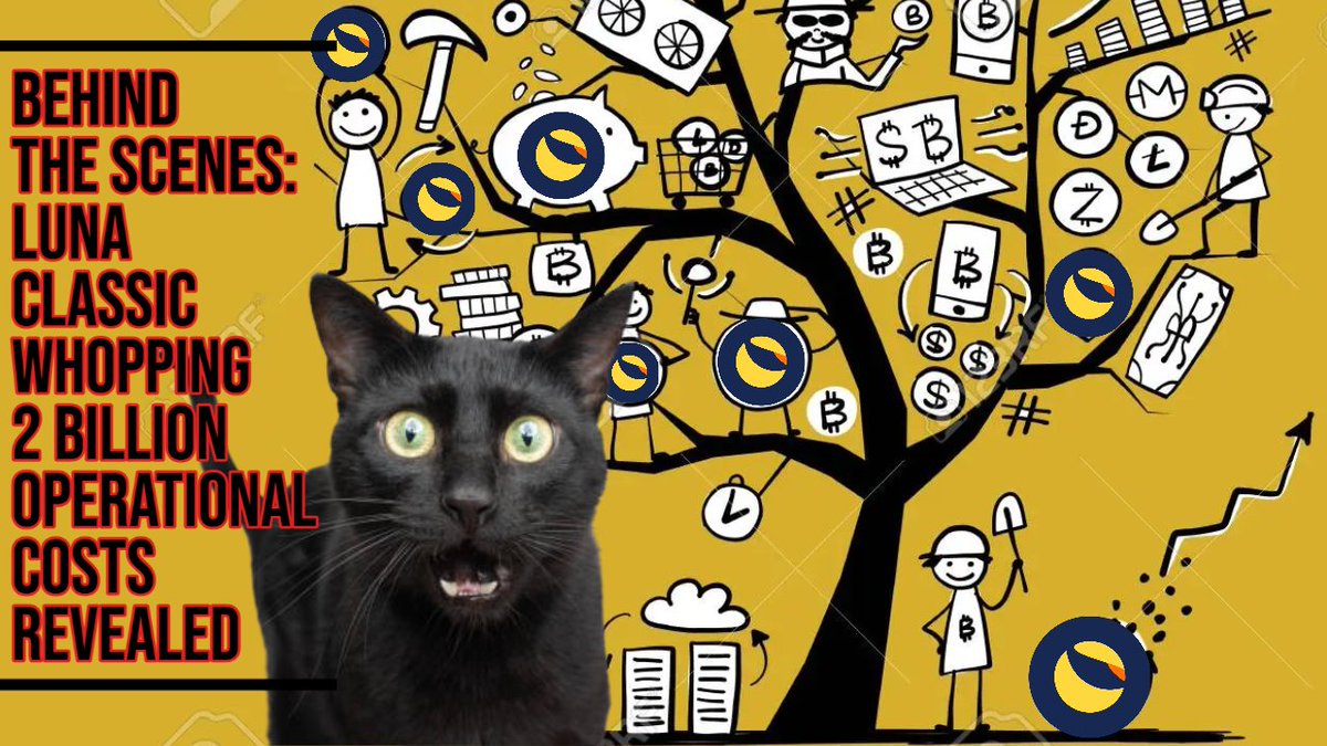 Jake Collis tweet media