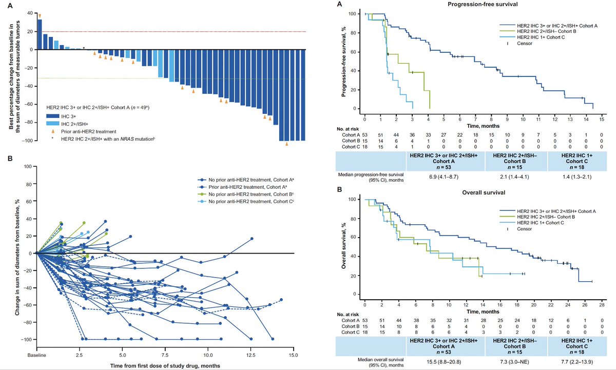 Final results of DESTINY-CRC01 investigating trastuzumab deruxtecan in HER2+ #CRC
<a href="/NatureComms/">Nature Communications</a> 
doi.org/10.1038/s41467…
👉ORR 45.3%, mPFS 6.9, mOS 15.5 and DoR 7.0 mo in IHC 3+/IHC 2+,ISH+
👉Pneumonitis 9.3%, TEAEs ≥3 65%
👉sig. activity independent of prior 🎯💊
<a href="/myESMO/">ESMO - Eur. Oncology</a>