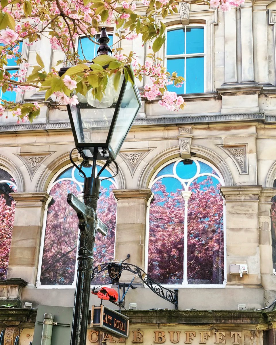 Kazzycrazy78's tweet photo. Edinburgh in spring
#cherryblossom #EDINBURGH #edinburghcity #PHOTOS #photooftheday #photograghy #SCOTLAND #uk #spring #sakura https://t.co/tgFMPTKVwk