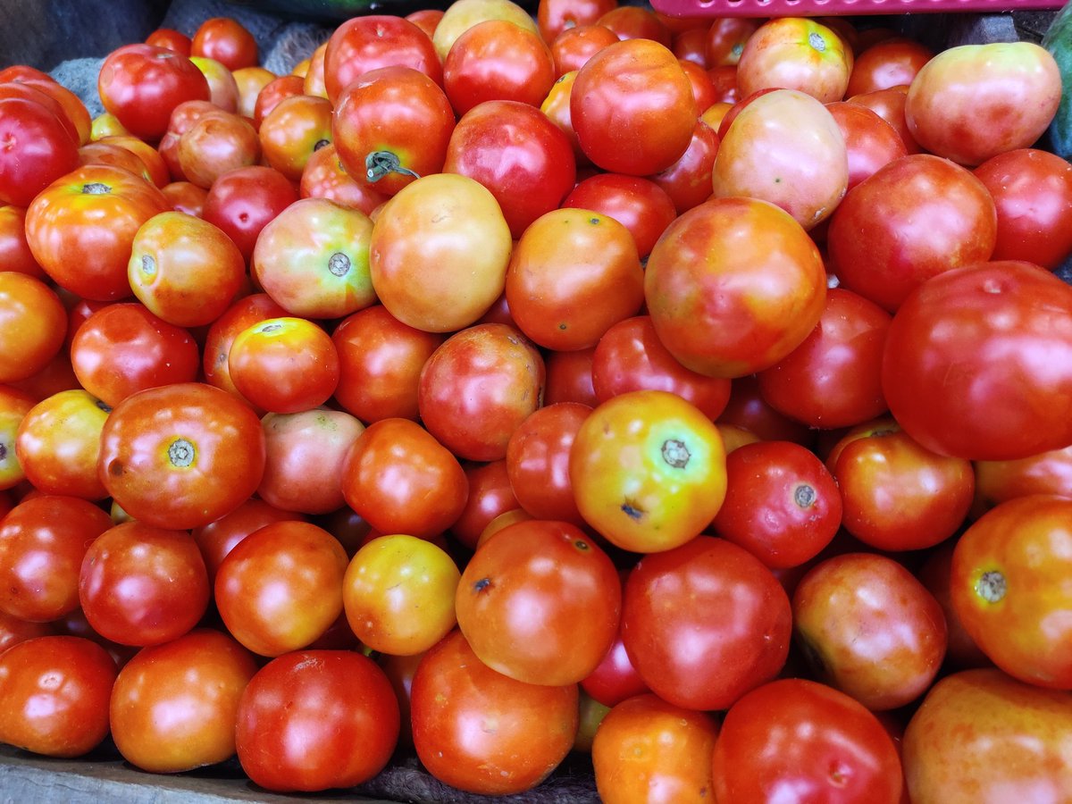 Deepak Acharya tweet media