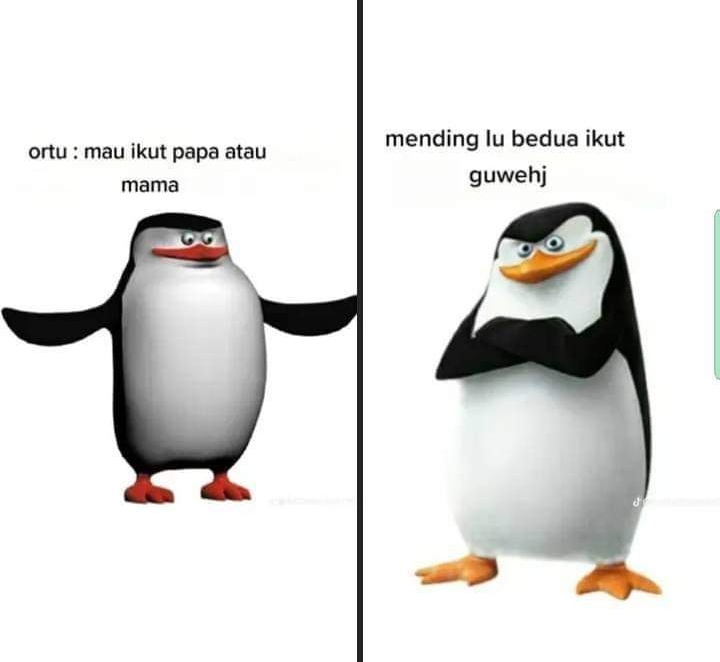 *opf luffy ketika disuruh milih mau naik kapal ace atau sabo: