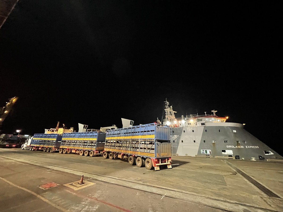 Darwin Port reports a total of 236,550 livestock exported for 2022-23 FY. As expected, well down on the 377,000-head average for the past decade. Nonetheless, 2022-23 ended on a bright note last week, with 3,424 Vietnam-bound breeders loaded at East Arm on the Girolando Express.